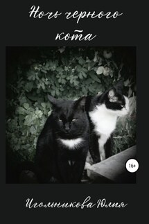 Ночь черного кота - Юлия Игольникова