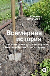 Всемерная история - Владимир Чистополов
