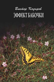 Эффект бабочки - Виктор Кадыров