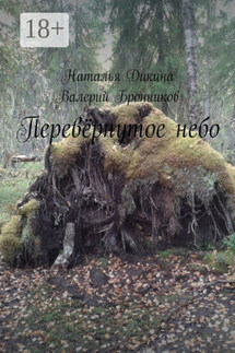 Перевёрнутое небо - Наталья Дикина, Валерий Бронников