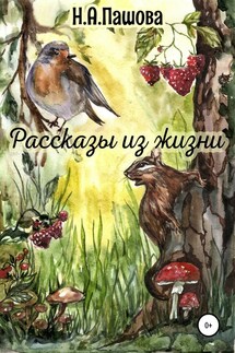 Рассказы из жизни - Наталья Пашова