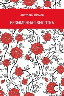 Безымянная высотка - Анатолий Шамов