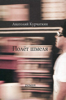 Полёт шмеля - Анатолий Курчаткин