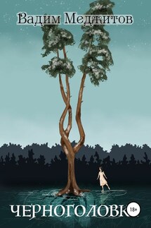 Черноголовка - Вадим Меджитов