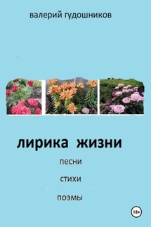 Лирика жизни. Песни, стихи, поэмы - Валерий Гудошников