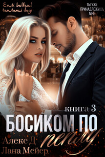 Босиком по пеплу. Книга 3 - Лана Мейер, Алекс Д