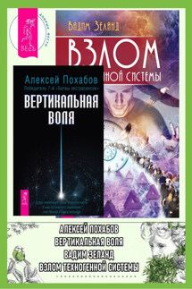 Вертикальная воля. Взлом техногенной системы - Вадим Зеланд, Алексей Похабов