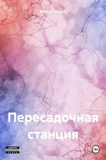 Пересадочная станция - Михаил Шелест