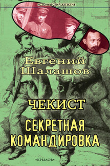Чекист. Секретная командировка - Евгений Шалашов