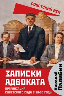 Записки адвоката. Организация советского суда в 20-30 годы - Николай Палибин