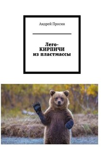 Лего-КИРПИЧИ из пластмассы - Андрей Просин