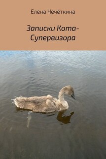 Записки Кота-Супервизора - Елена Чечёткина