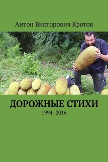 Дорожные стихи. 1994–2016 - Антон Кротов