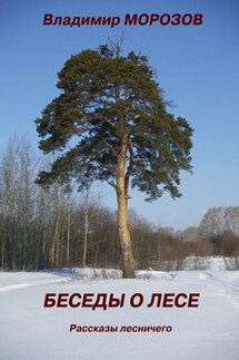 Беседы о лесе. Рассказы лесничего - Владимир Морозов