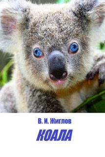 Коала - В. Жиглов
