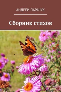 Сборник стихов - Андрей Парачук