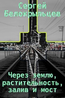 Через землю, растительность, залив и мост - Сергей Белокрыльцев
