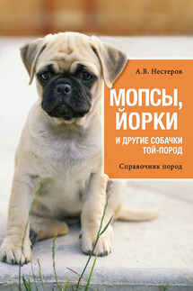 Мопсы, йорки и другие собачки той-пород - Арсений Нестеров