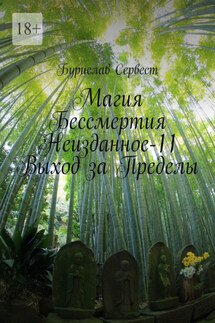 Магия бессмертия. Неизданное-11. Выход за пределы - Бурислав Сервест
