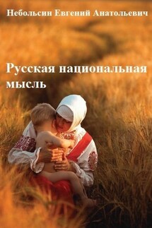 Русская национальная мысль. Том 5 - Евгений Небольсин