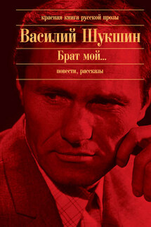 Беспалый - Василий Шукшин