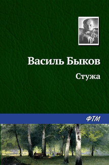 Стужа - Василий Быков