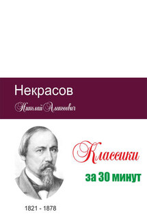Некрасов за 30 минут - Татьяна Беленькая, Илья Валерьевич Мельников