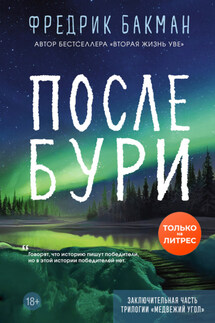 После бури - Фредрик Бакман