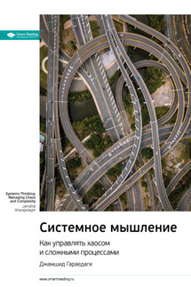 Ключевые идеи книги: Системное мышление. Как управлять хаосом и сложными процессами. Джамшид Гараедаги - Smart Reading