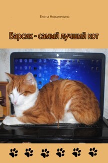 Барсик – самый лучший кот - Елена Новаженина