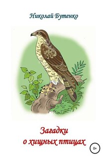 Загадки о хищных птицах - Николай Бутенко
