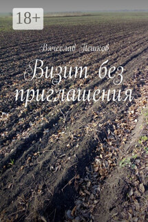 Визит без приглашения - Вячеслав Пешков