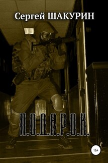 Подарок - Сергей Шакурин