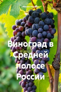 Виноград в Средней полосе России - Михаил Назаров
